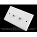 Placa Tapa Jack 3.5 mm audio doble ABS